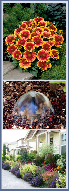 landscaping temecula